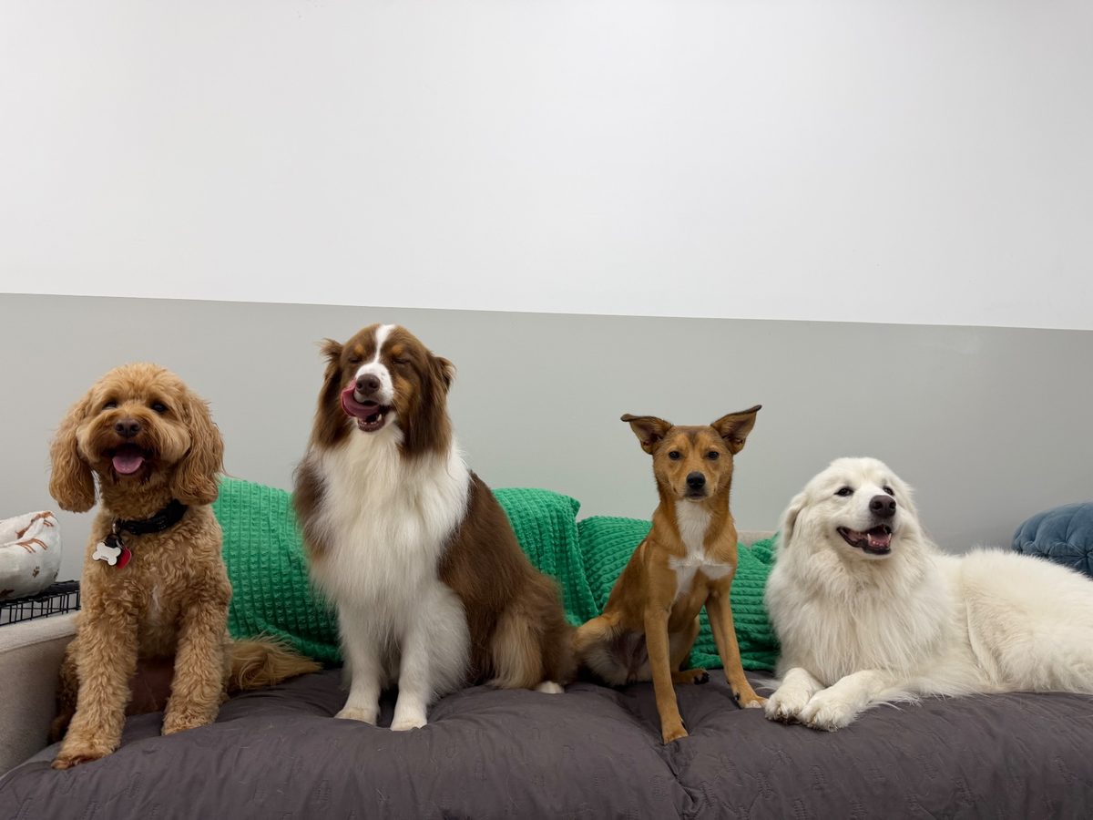 Cali Chiavetta at Allforthewag