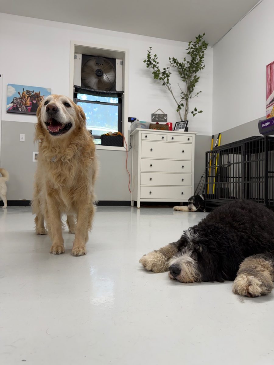 Cooper at Allforthewag