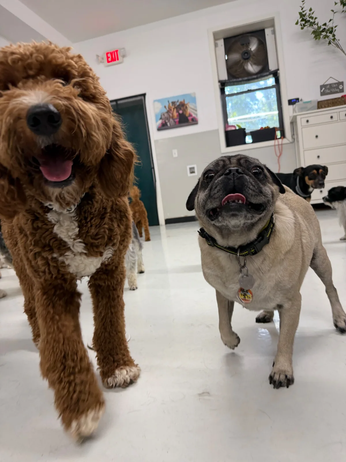 Georgie at Allforthewag