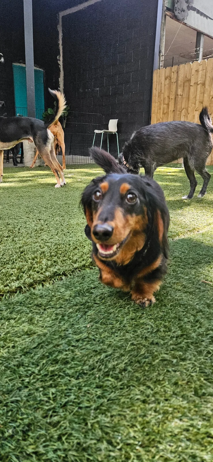 Scratch at Allforthewag