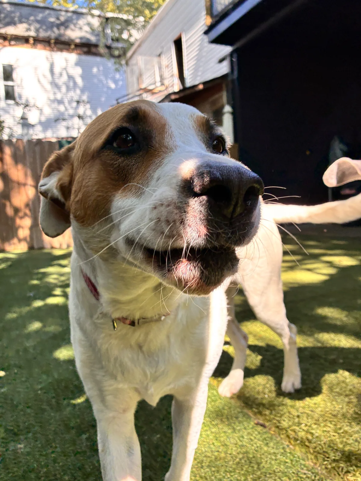 Naomi at Allforthewag